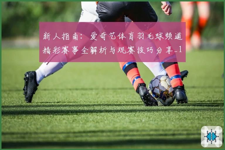新人指南：爱奇艺体育羽毛球频道精彩赛事全解析与观赛技巧分享_1