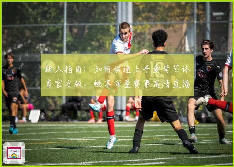 新人指南：如何快速上手爱奇艺体育官方版，畅享海量赛事高清直播